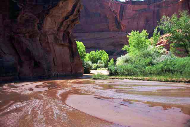 canyon floor by truck